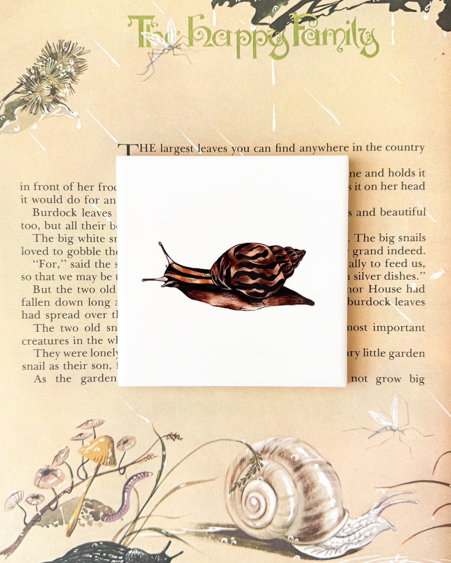 The Bug Collection - The Snail