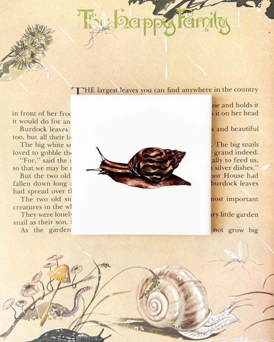 The Bug Collection - The Snail