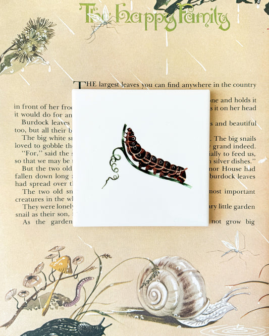 The Bug Collection - The Caterpillar